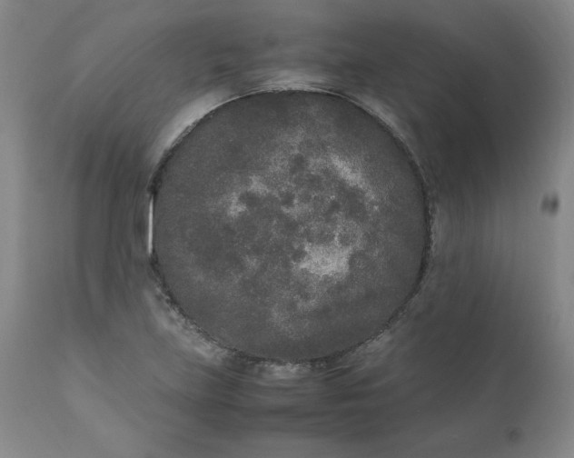 X0000111251219200907161358