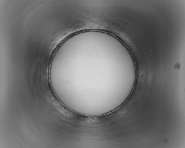 X0000111251220200907161358