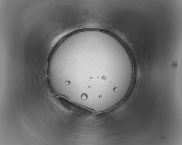 X0000111251222200907161358