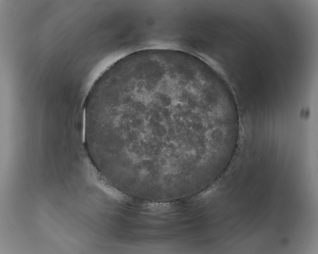 X0000111251223200907161358