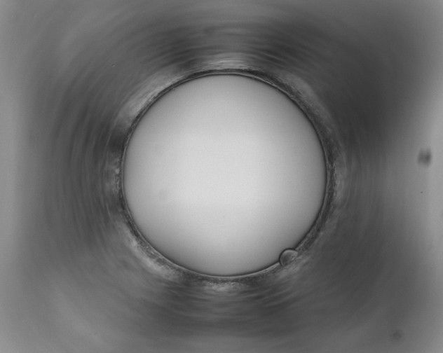 X0000111251225200907161358