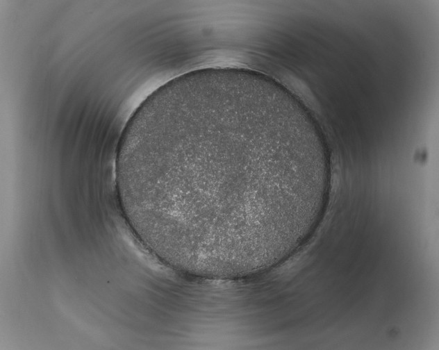 X0000111251226200907161358