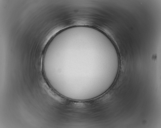 X0000111251227200907161358