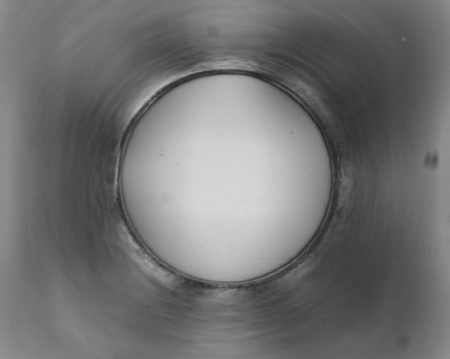 X0000111251228200907161358