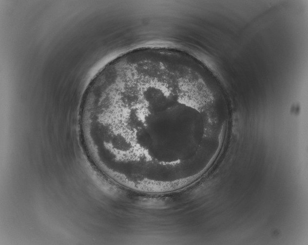 X0000111251229200907161358