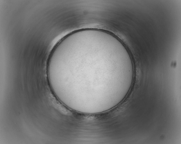 X0000111251230200907161358