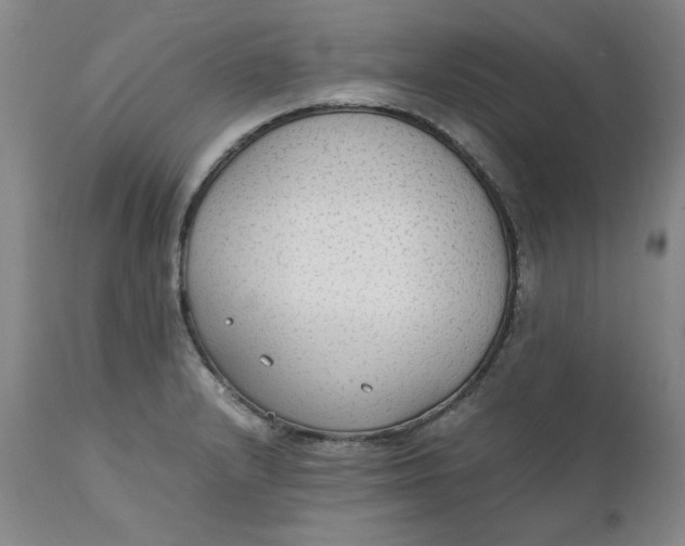 X0000111251232200907161358