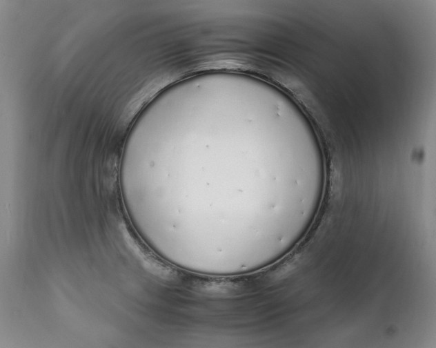 X0000111251233200907161358