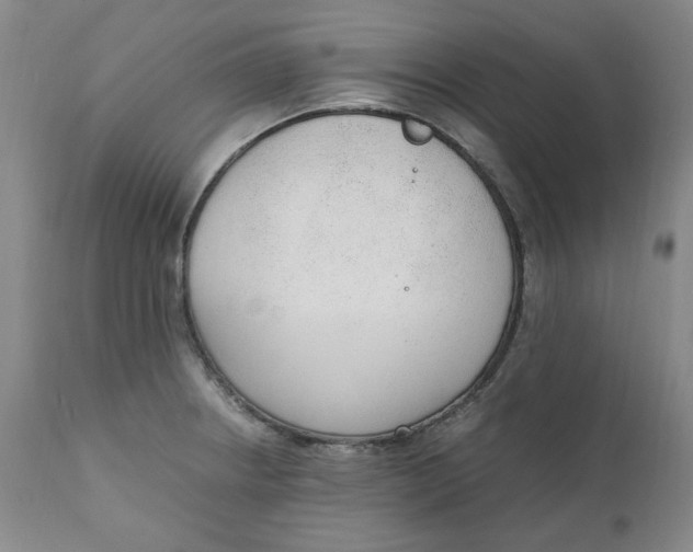 X0000111251234200907161358