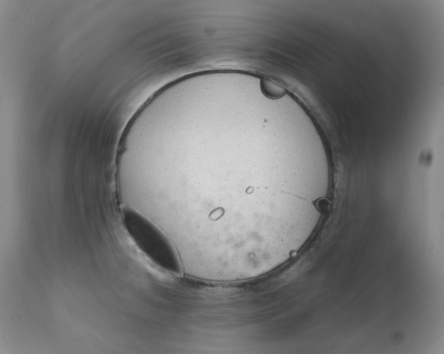 X0000111251236200907161358