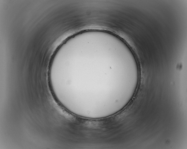 X0000111251237200907161358