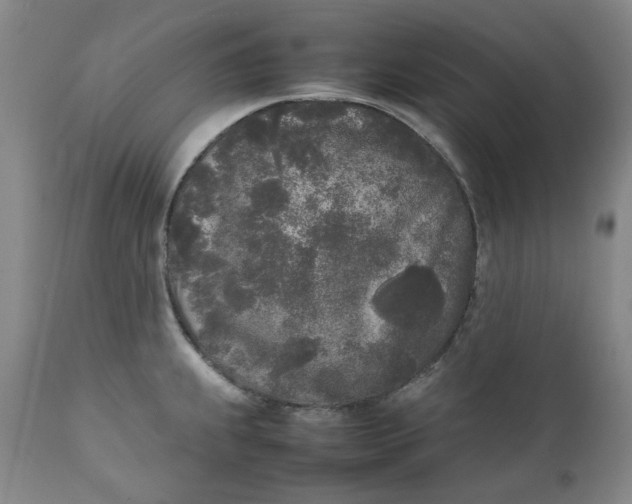 X0000111251239200907161358