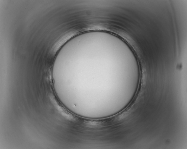 X0000111251241200907161358