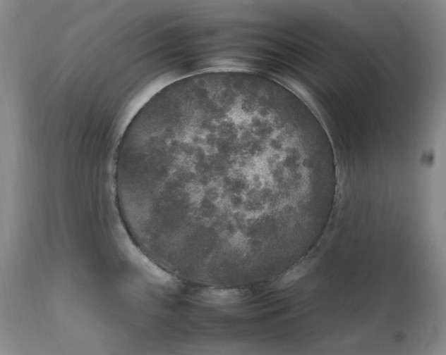 X0000111251243200907161358