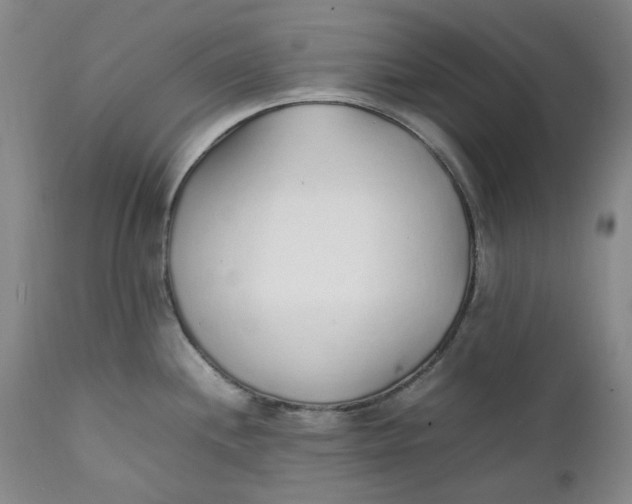 X0000111251244200907161358