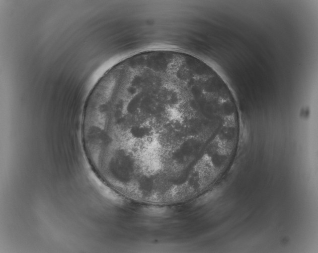 X0000111251245200907161358