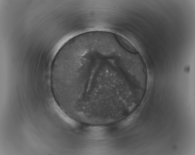 X0000111251246200907161358