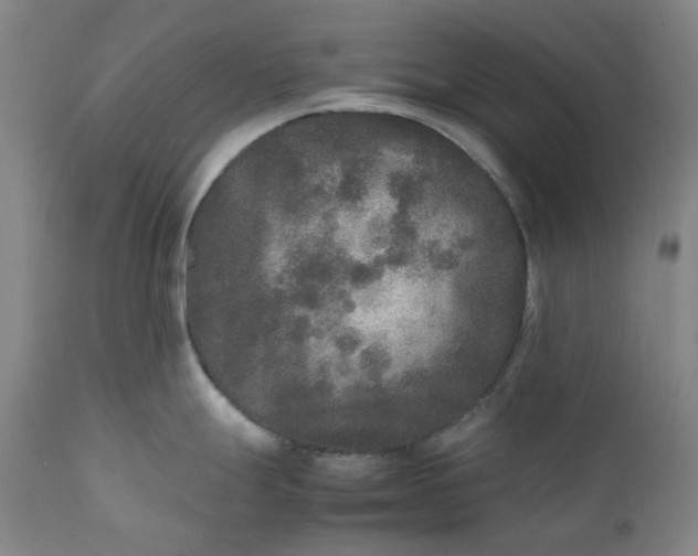 X0000111251247200907161358