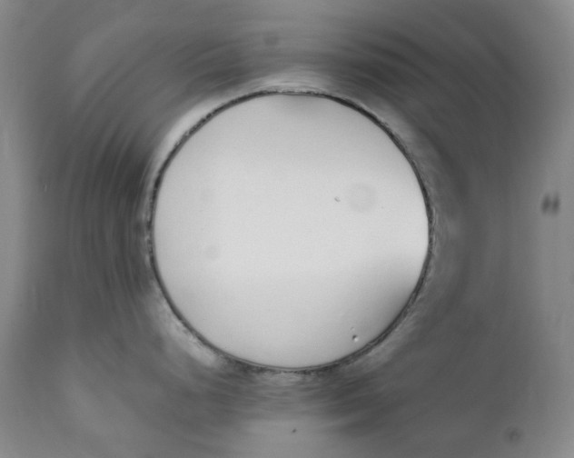 X0000111251248200907161358