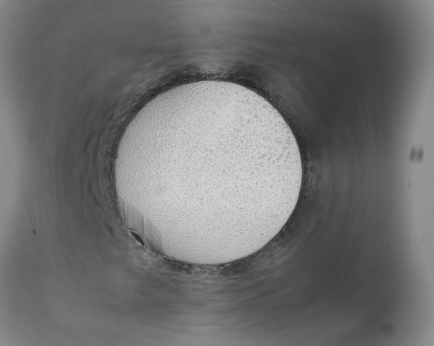 X0000111251249200907161358