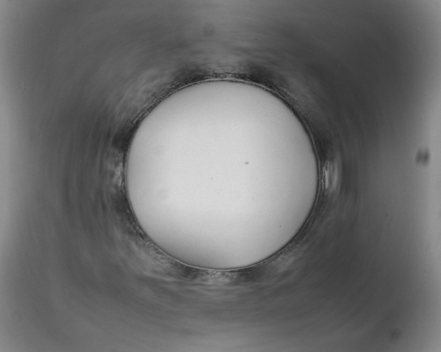 X0000111251251200907161358