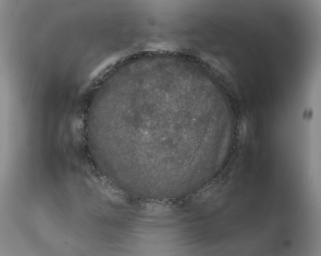 X0000111251254200907161358