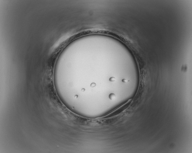 X0000111251255200907161358