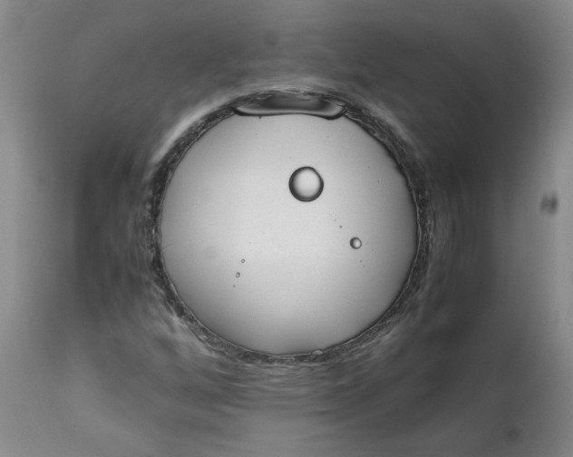 X0000111251256200907161358