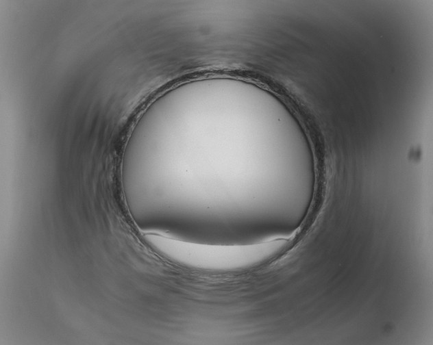 X0000111251257200907161358