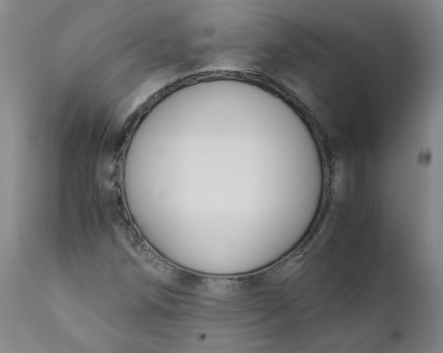 X0000111251258200907161358