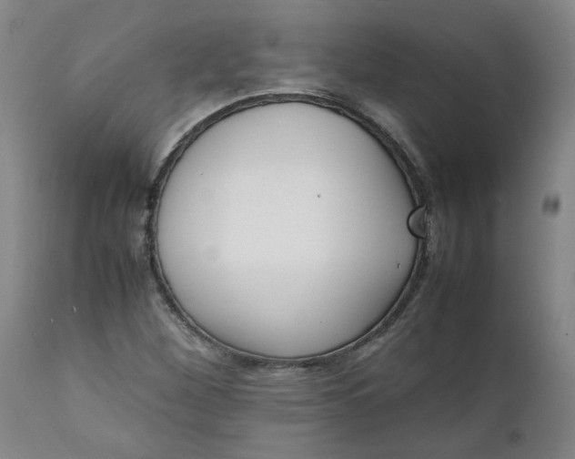 X0000111251260200907161358