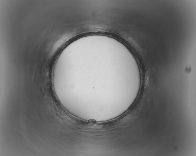 X0000111251261200907161358