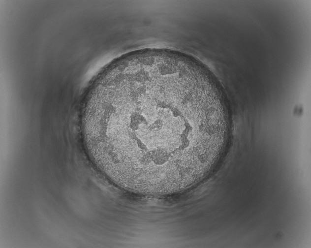 X0000111251263200907161357