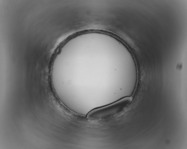 X0000111251264200907161357