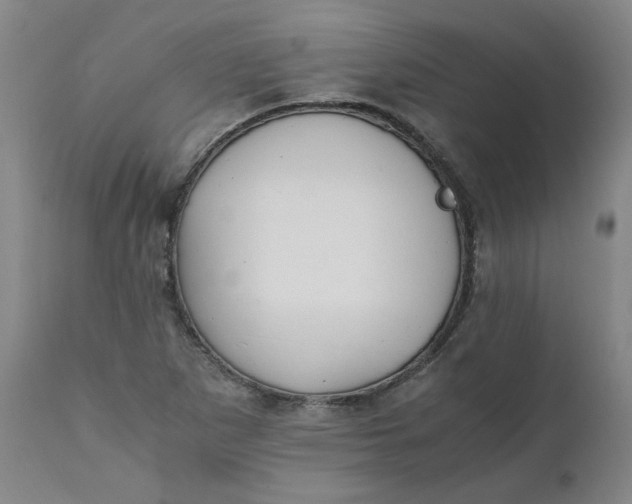 X0000111251265200907161357