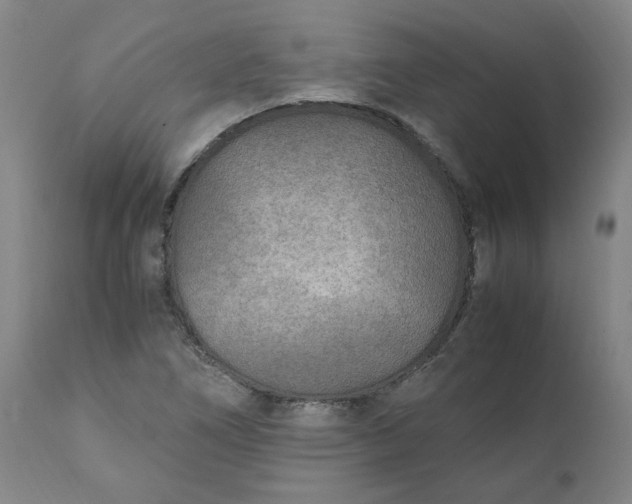 X0000111251266200907161357