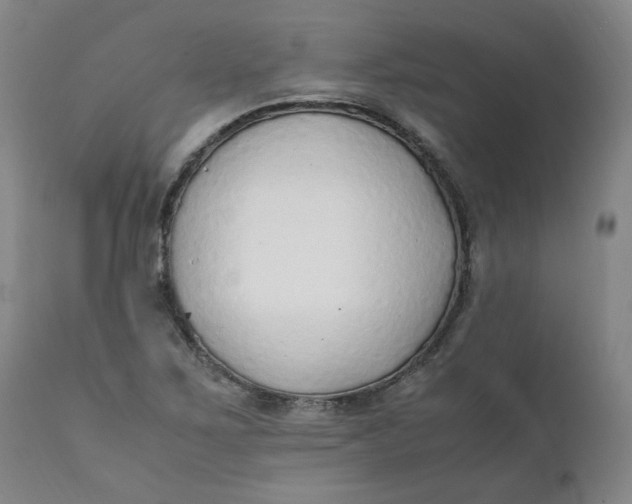 X0000111251267200907161357