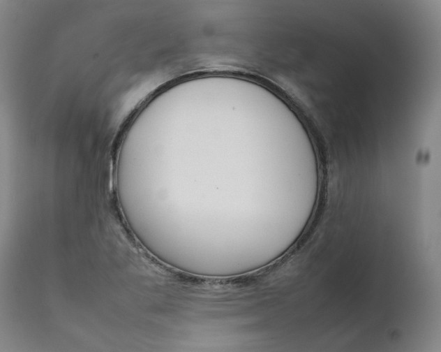 X0000111251269200907161357