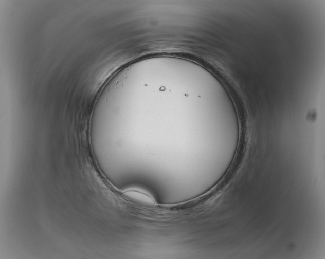 X0000111251273200907161357