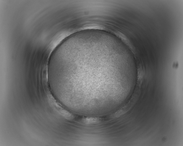 X0000111251274200907161357