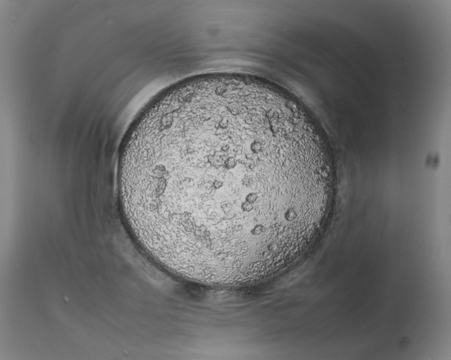 X0000111251275200907161357