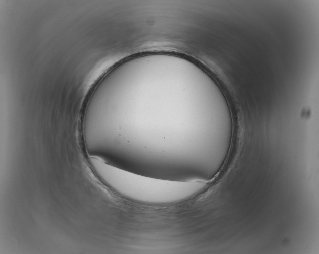 X0000111251277200907161357