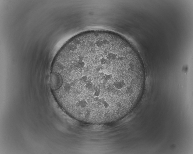 X0000111251279200907161357