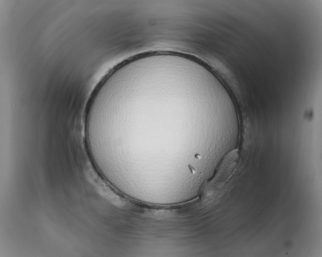 X0000111251280200907161357