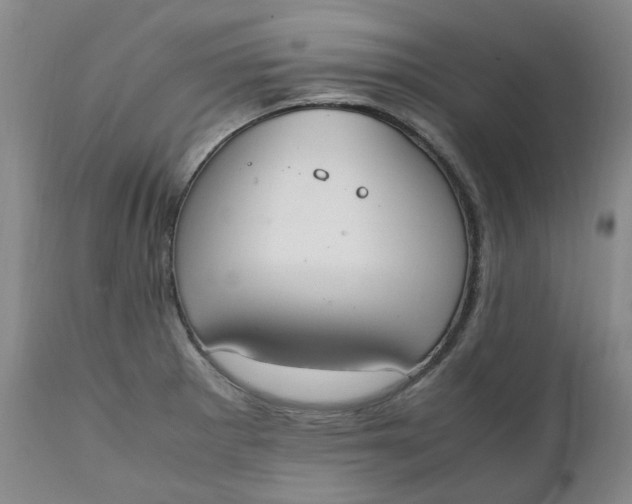 X0000111251281200907161357