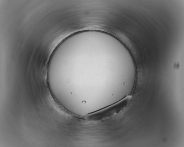 X0000111251284200907161357