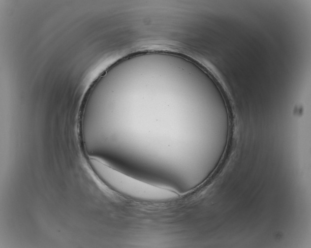 X0000111251285200907161357