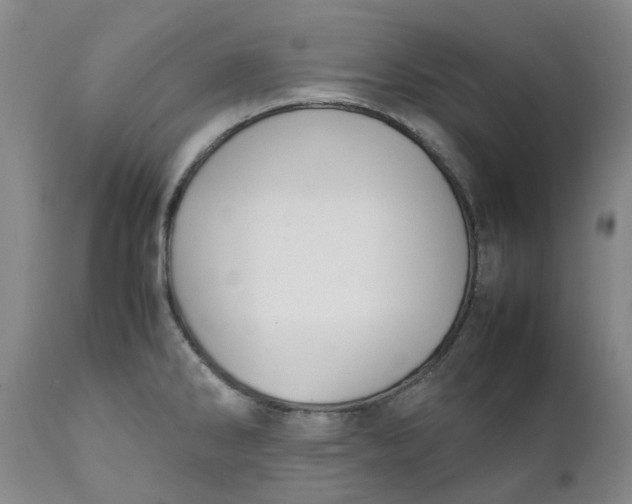 X0000111251286200907161357