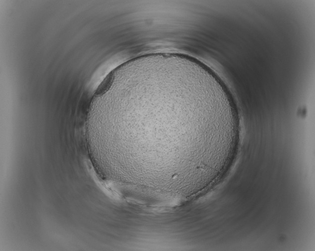 X0000111251289200907161357