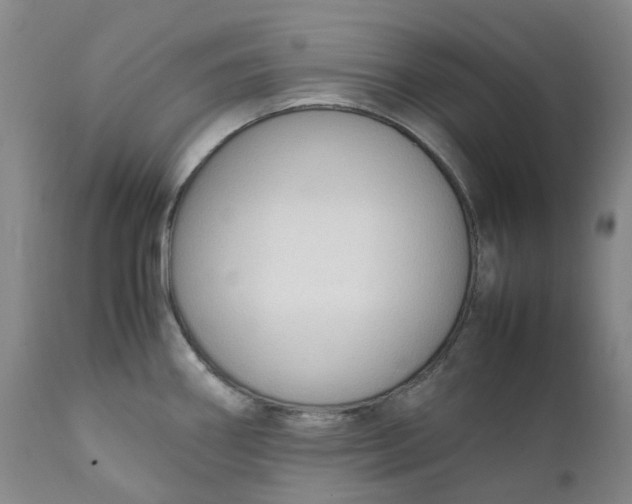 X0000111251290200907161357